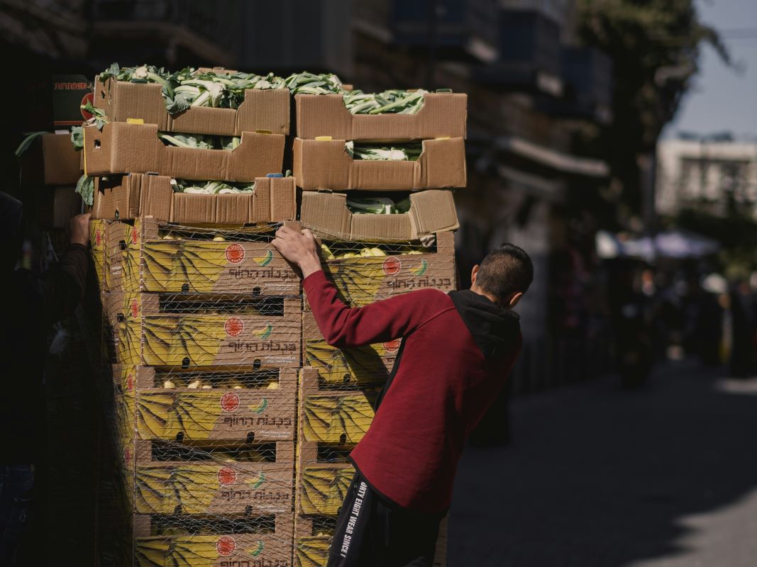 What Are the Advantages of Using a Dedicated Air Freight Service for Food Shipping?(pic1)